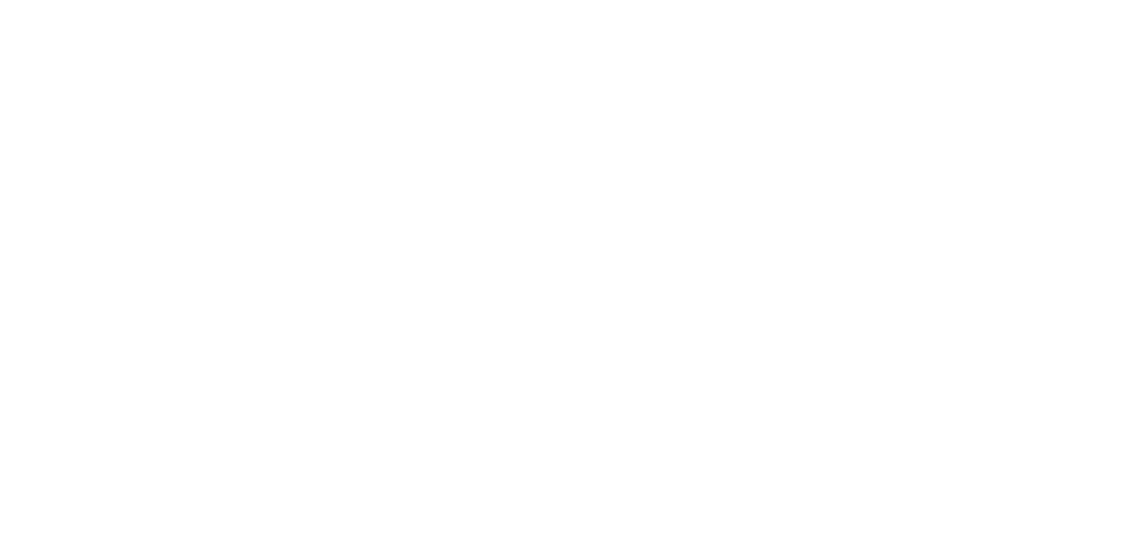 The Dispatch